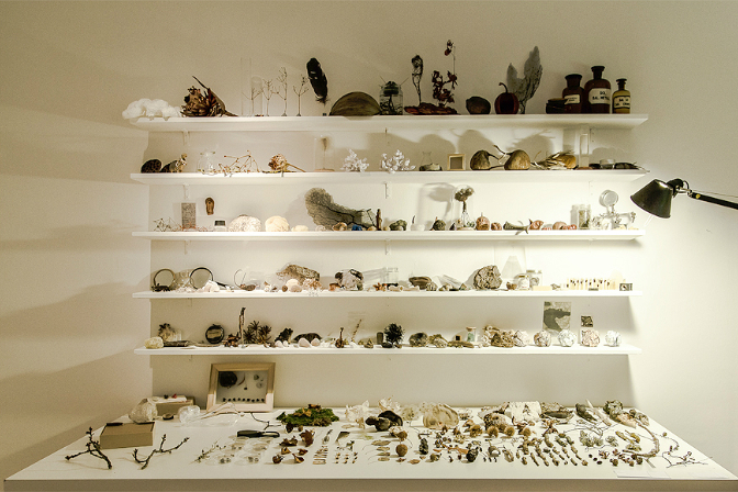 Sybille Neumeyer, The Cabinet Laboratory (2011). Image courtesy and copyright the artist