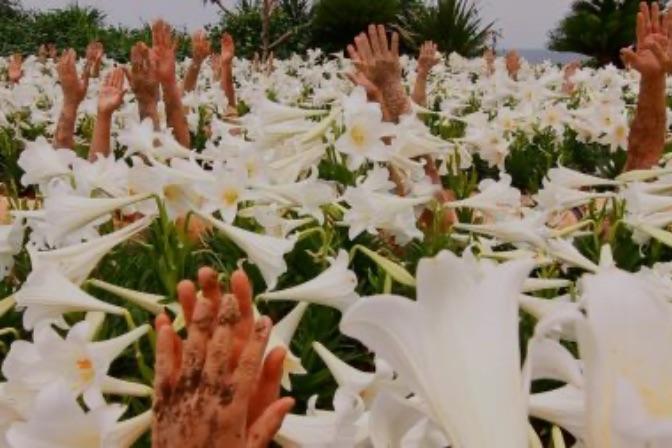 Photography, Video and Performance: Chikako Yamashiro