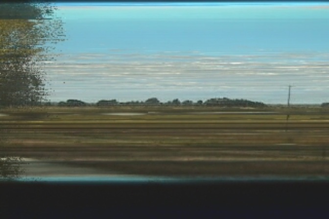 Fendlandia