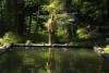 BillViola2