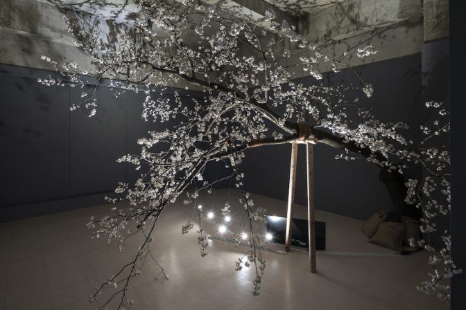 Bontarō Dokuyama, installation view, Synchronized Cherry Blossom, 2019. Uiro, cloth, wire, cherry tree. Copyright and courtesy artist, LEESAYA Gallery and Fountain. Photo Kenji Morito